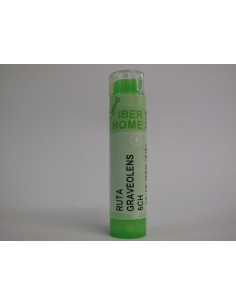 RUTA GRAVEOLENS 6CH - GRANULOS