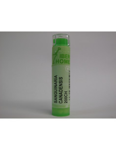 SANGUINARIA CANADENSIS 200CH - GRANULOS