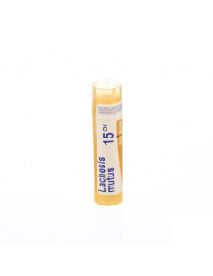 LACHESIS MUTUS 15CH - GRANULOS