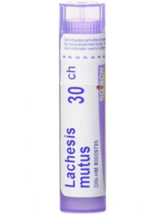LACHESIS MUTUS 30CH - GRANULOS