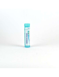 Chelidonium Composé Boiron