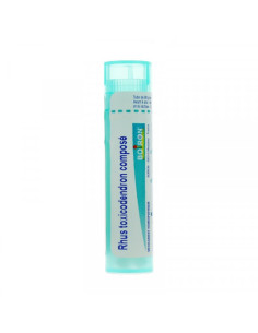 Rhus toxicodendron Composé Boiron