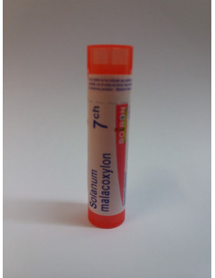 Solanum malacoxylon 7CH boiron