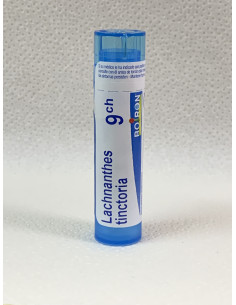 LACHNANTHES TINCTORIA 9CH - BOIRON