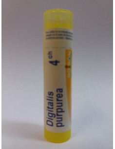 Digitalis purpurea 4CH Boiron