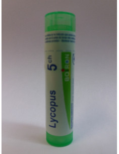 LYCOPUS 5CH - GRANULOS