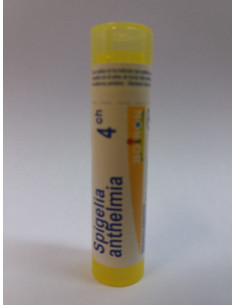 Spigelia anthelmia 4CH Boiron