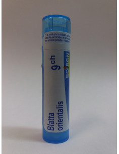 BLATTA ORIENTALIS 9CH - GRANULOS