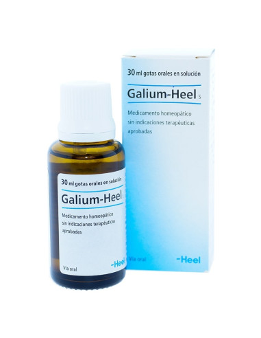 Galium-Heel S 30ml. Heel