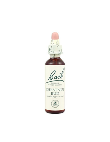 Chestnut Bud (Brote de Castaño) Flor de Bach nº 7 20ml.