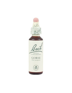 Gorse (Aulaga) Flor de Bach nº 13 20ml.