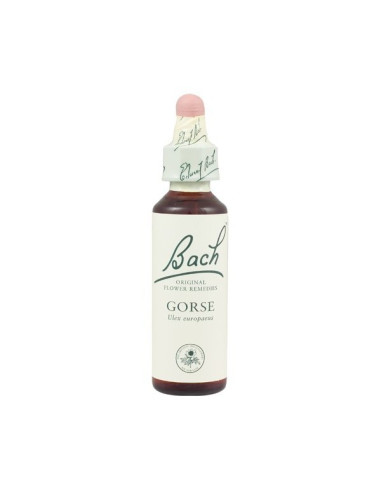 Gorse (Aulaga) Flor de Bach nº 13 20ml.