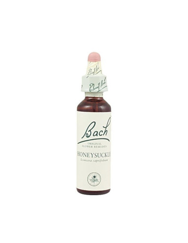 Honeysuckle (Madreselva) Flor de Bach nº 16 20ml.