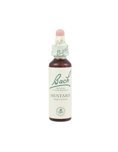 Mustard (Mostaza) Flor de Bach nº 21 20ml.