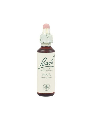 Pine (Pino Silvestre) Flor de Bach nº 24 20ml.