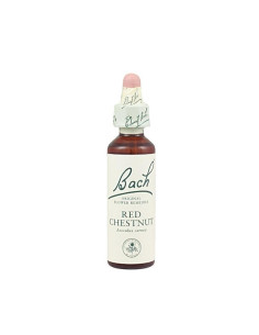 Red Chestnut (Castaño Rojo) Flor de Bach nº 25 20ml.