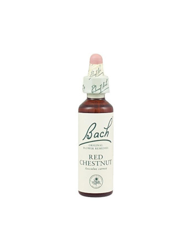 Red Chestnut (Castaño Rojo) Flor de Bach nº 25 20ml.