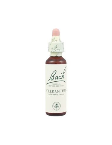 Scleranthus (Escleranto) Flor de Bach nº 28 20ml.