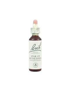 Star of Bethlehem (Leche de Gallina) Flor de Bach nº 29 20ml.