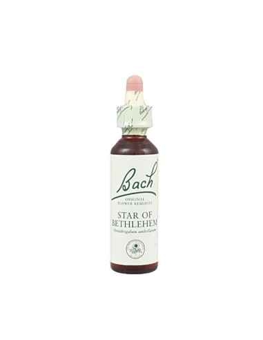 Star of Bethlehem (Leche de Gallina) Flor de Bach nº 29 20ml.