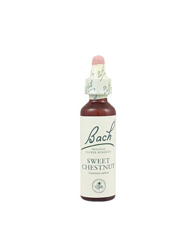 Sweet Chestnut (Castaño Dulce) Flor de Bach nº 30 20ml.