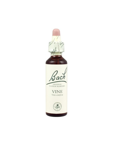 Vine (Vid) Flor de Bach nº 32 20ml.