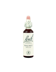 Walnut (Nogal) Flor de Bach nº 33 20ml.