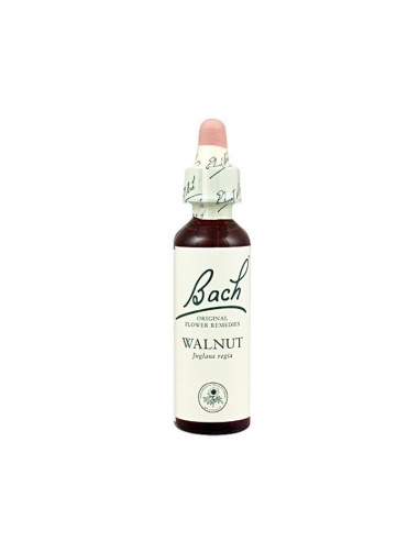 Walnut (Nogal) Flor de Bach nº 33 20ml.