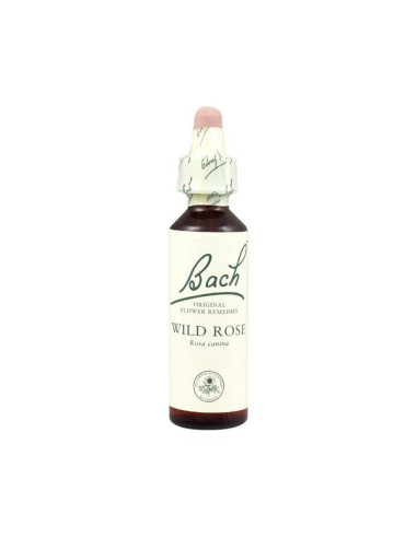 Wild Rose (Rosa Silvestre) Flor de Bach nº 37 20ml.