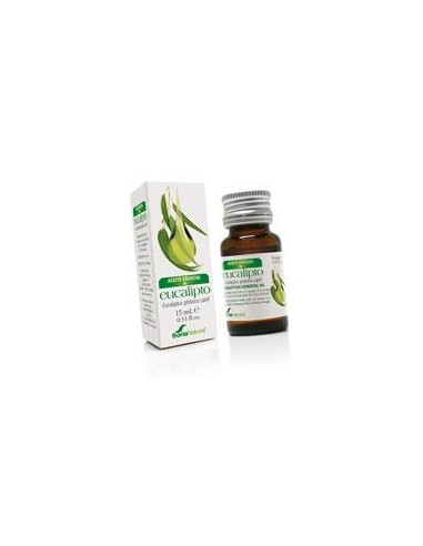 Aceite Esencial de Eucalipto 15ml. Soria Natural