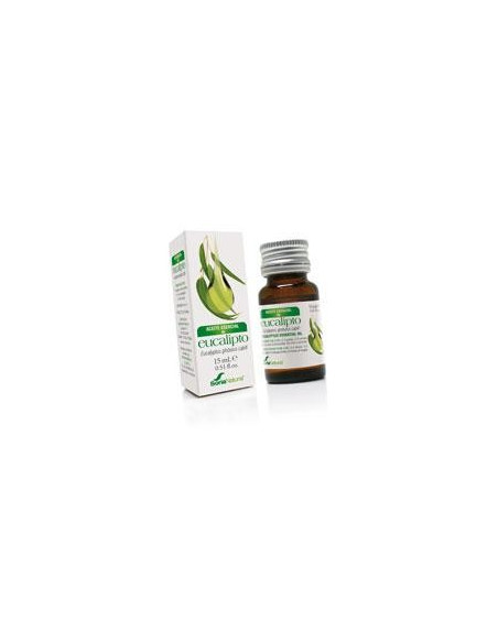 Aceite Esencial de Eucalipto 15ml. Soria Natural