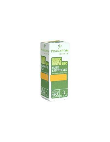 Aceite Esencial de Menta Piperita BIO 5ml.