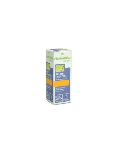 Aceite Esencial de Tuya 10ml. Pranarom